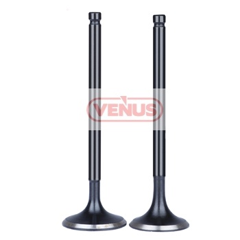 Engine_valve